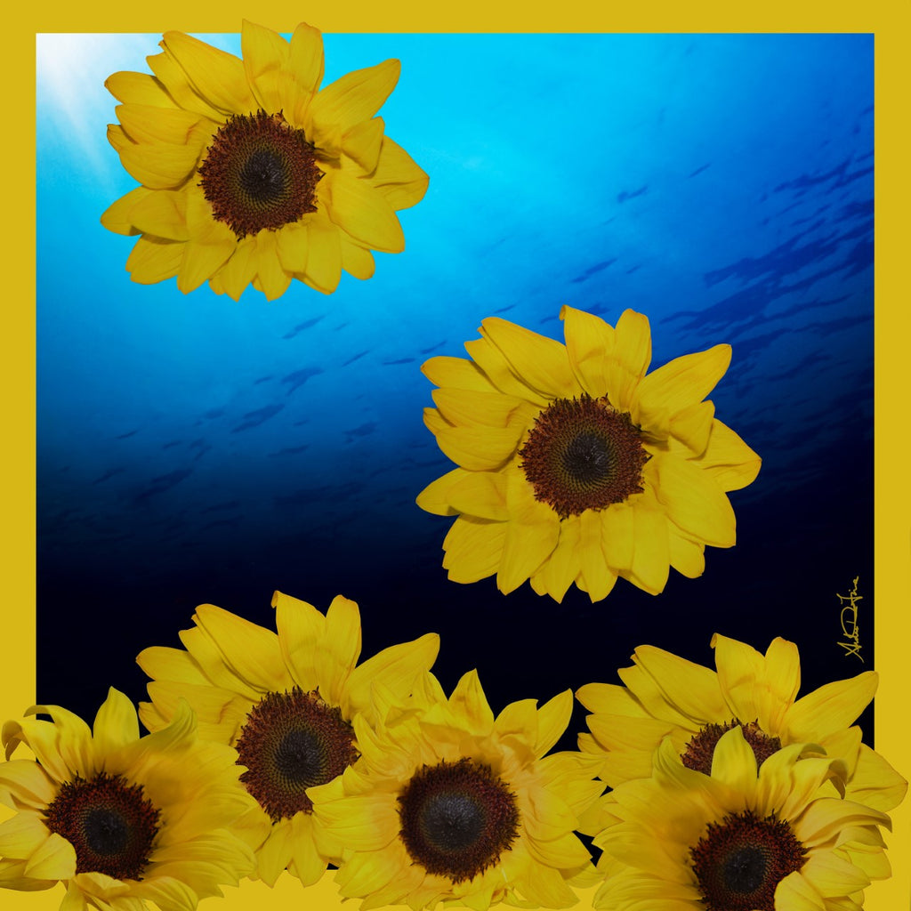 Sunflower, Beautiful, National flower of Ukraine.Luxury, 100% silk, made in Italy.
